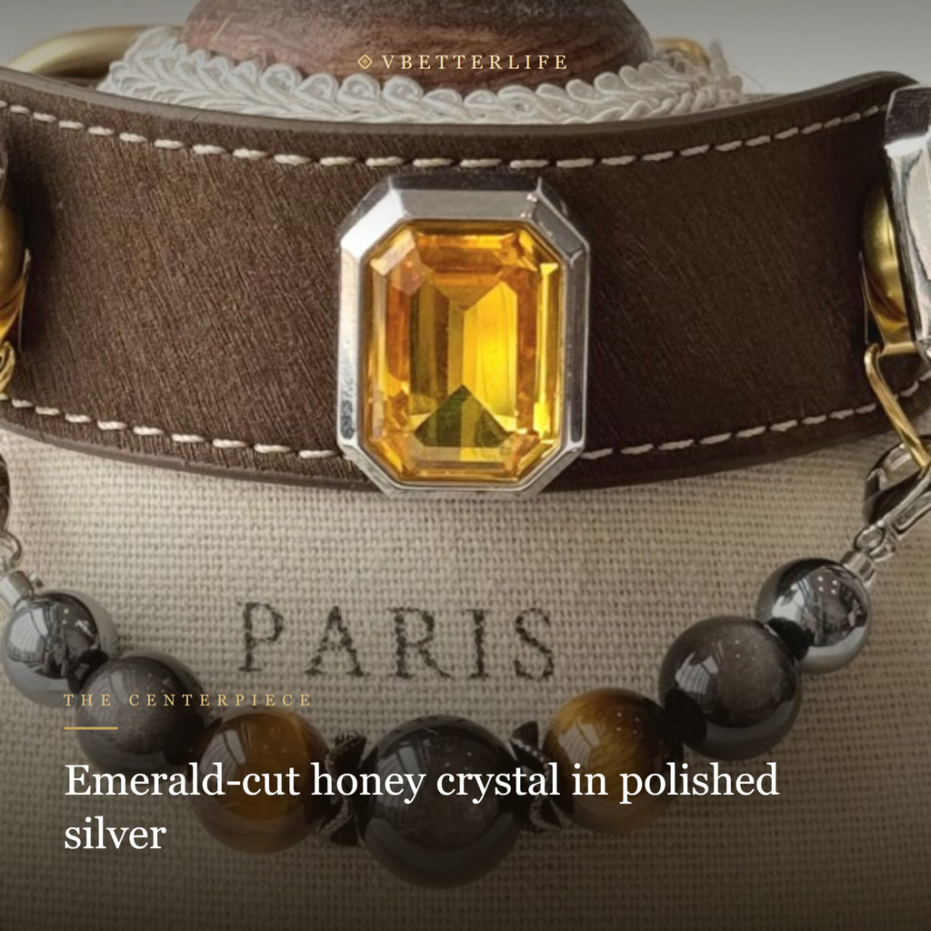 Amber Noir Emerald-Cut Crystal Dog Collar