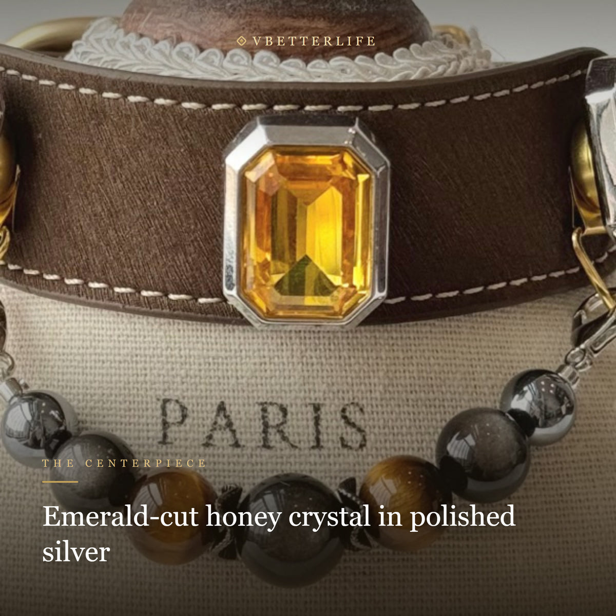 Amber Noir Emerald-Cut Crystal Dog Collar