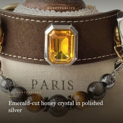 Amber Noir Emerald-Cut Crystal Dog Collar