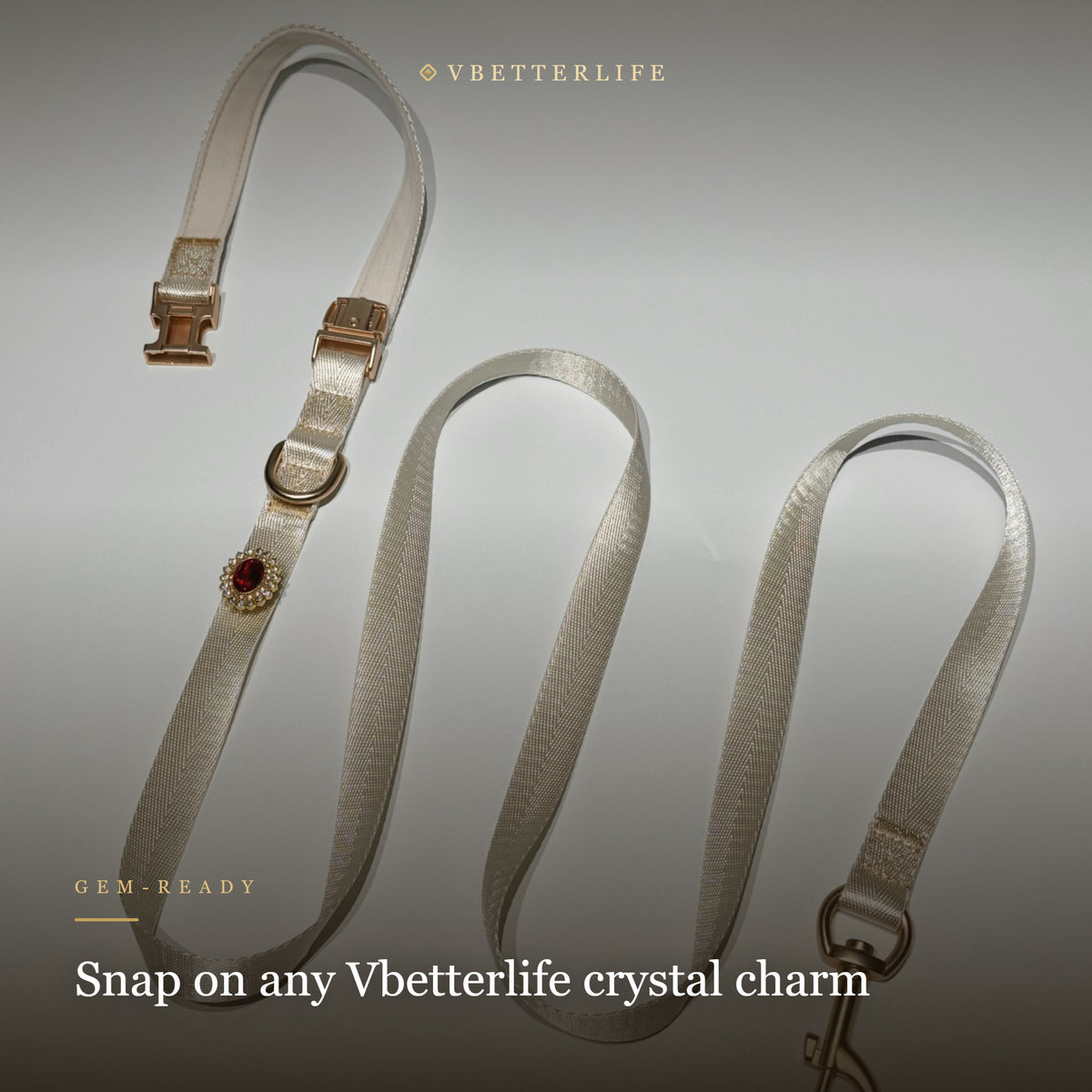 Etoile Multifunction Gemstone Dog Leash
