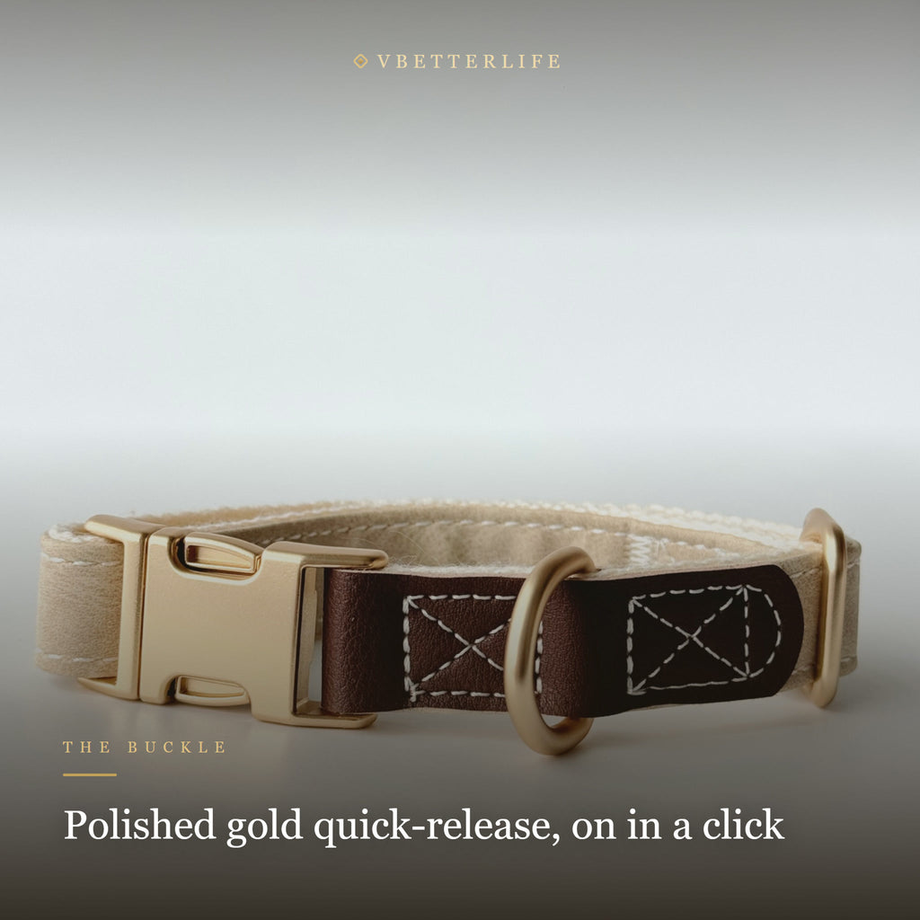 Velvet Royale Ruby Gold Quick-Release Dog Collar