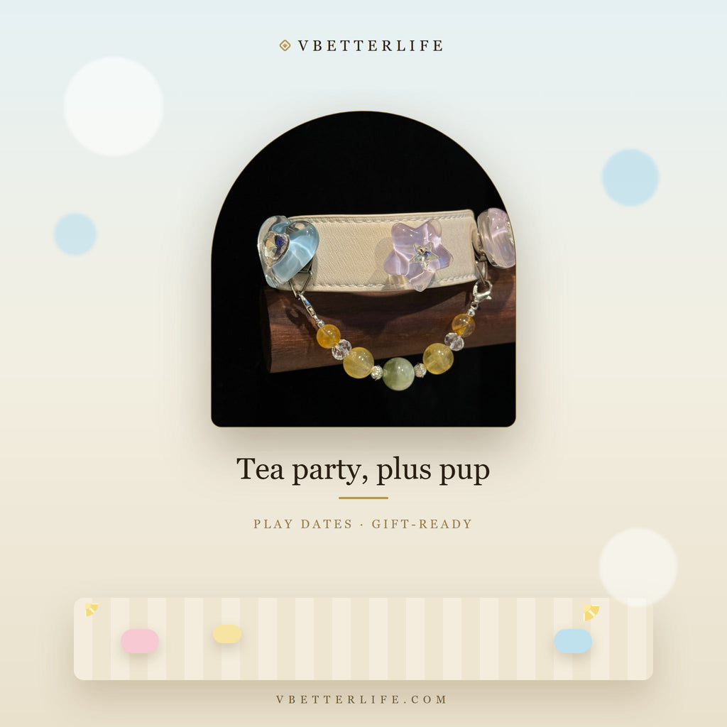 Jelly Sky Heart & Star Charm Dog Collar